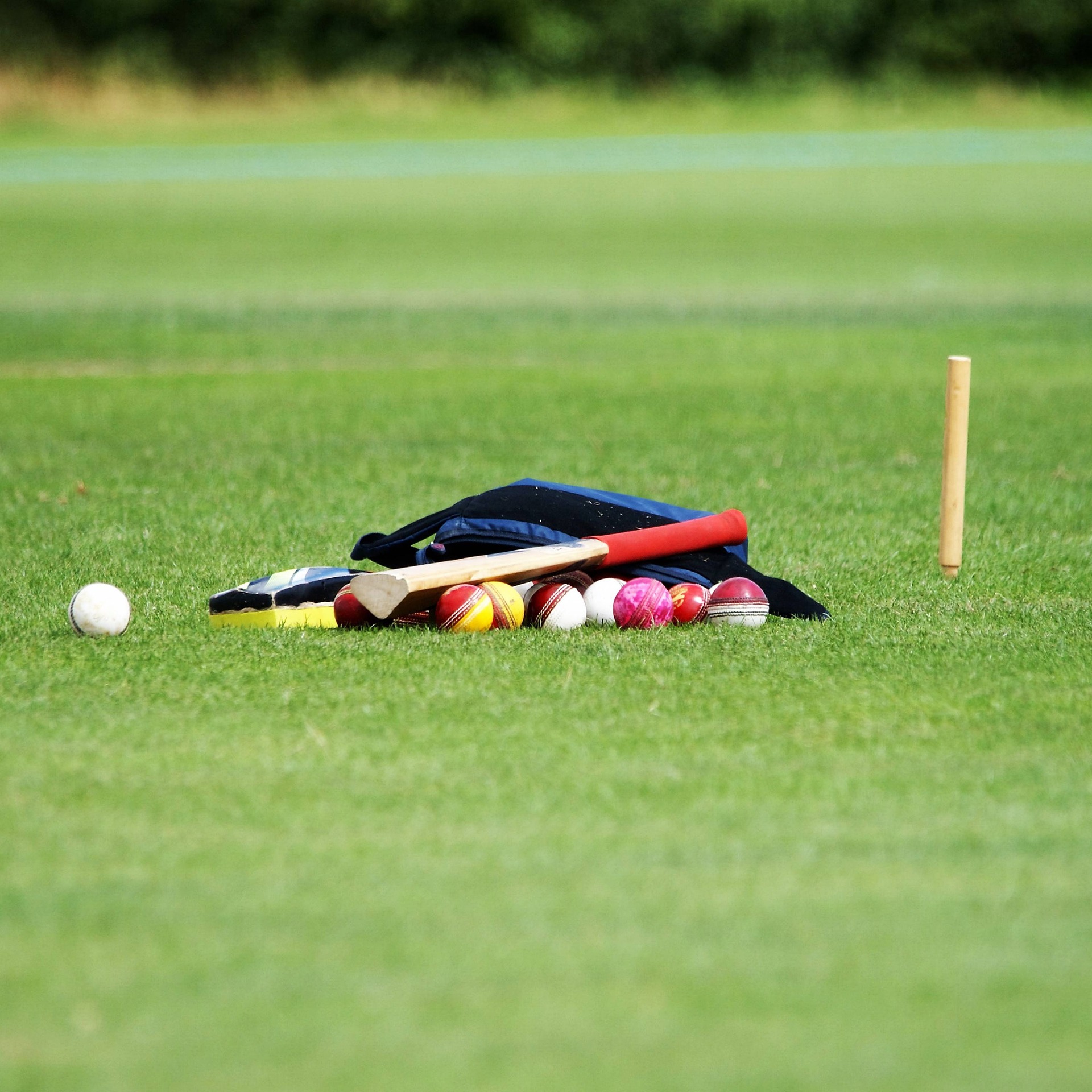 Cricket bat, several balls, gloves, and a stump laid out on the grass near a practice net